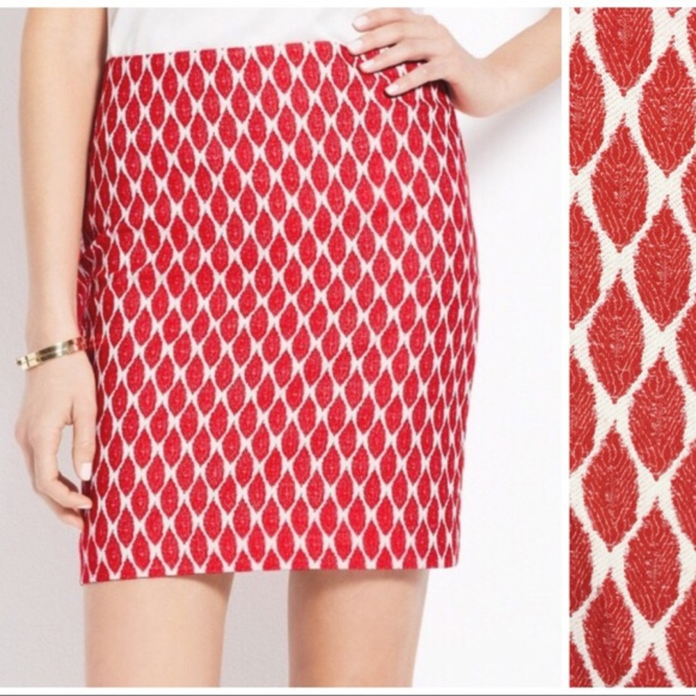 Ann Taylor Skirt